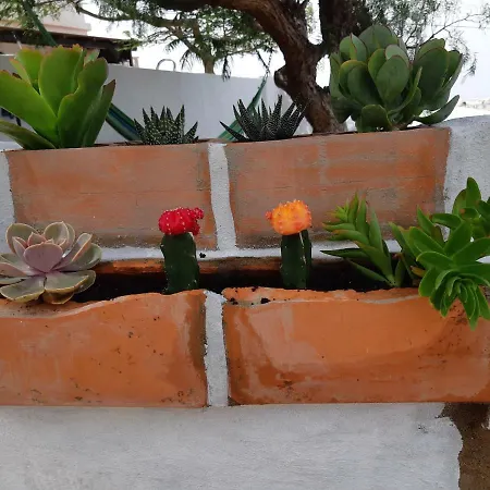 Tilama